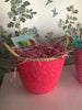 Disco Baskets - Palme d'Or