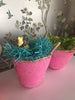 Disco Baskets - Palme d'Or