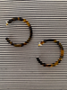 Tortoise Loops